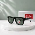 Ray-Ban RB4566 Black Brown Polarized Sunglasses